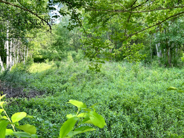 Działka Góra Kalwaria