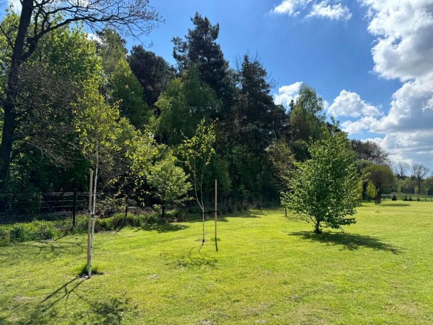 Działka inwestycyjna Gliwice