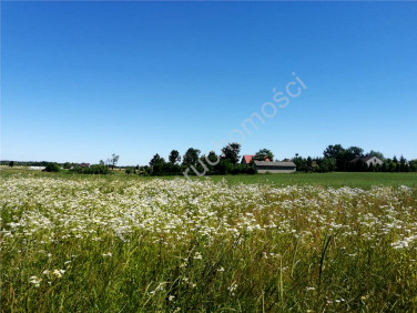 Działka budowlano-rolna Janówek