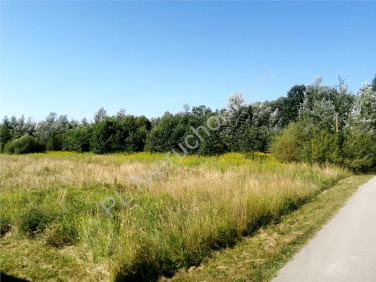 Działka usługowa Zagórze