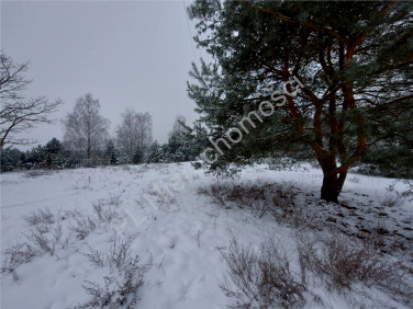 Działka usługowa Łąki