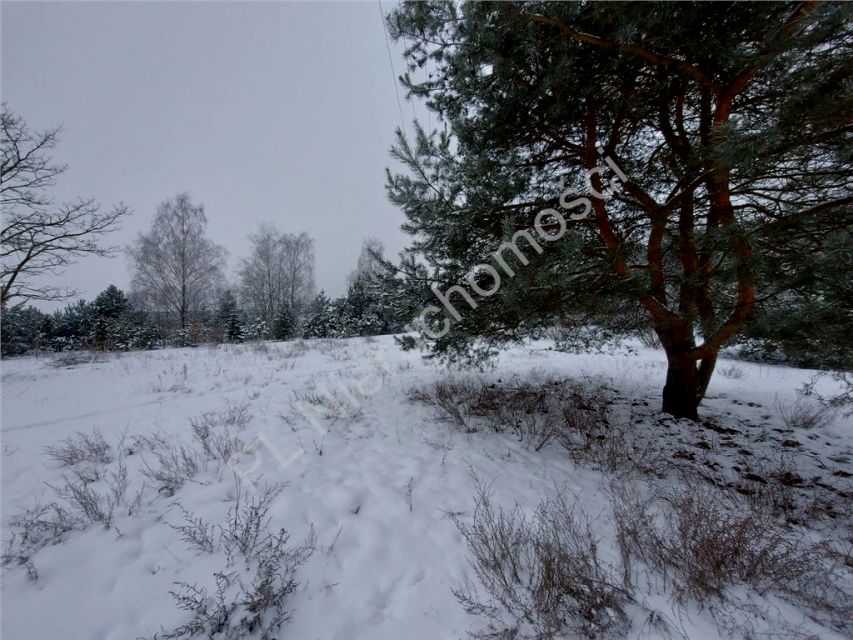 Działka usługowa Łąki