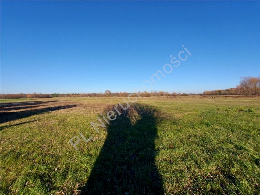 Zdjęcie 3