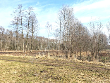 Działka leśna Dębowce