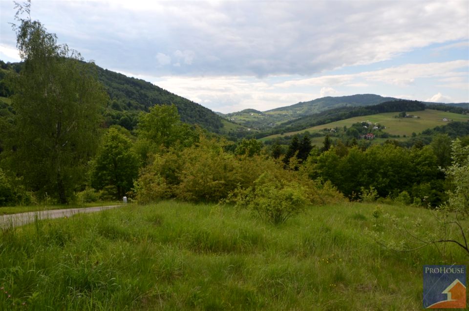 Działka rekreacyjna Laskowa