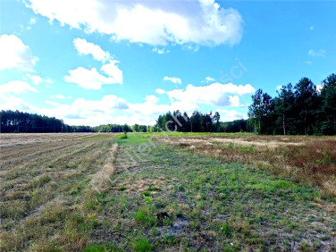 Działka budowlana Mistów