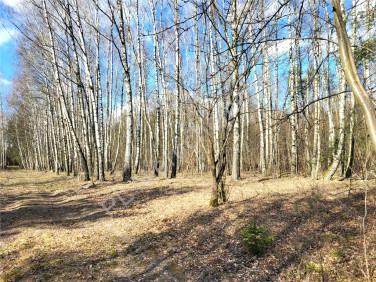 Działka budowlana sprzedam