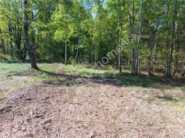 Działka budowlana Rudzienko