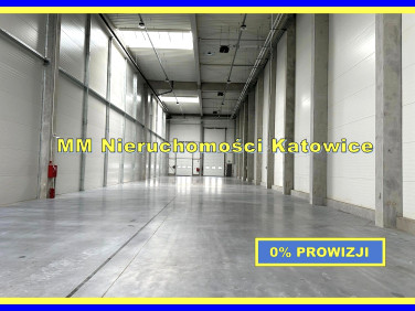 Budynek użytkowy Siemianowice Śląskie