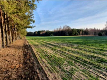 Działka budowlana Osiek