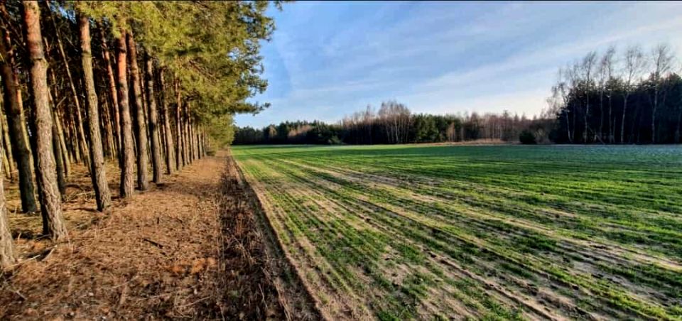 Działka budowlana Osiek