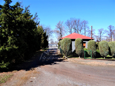 Działka inwestycyjna Oleśnica