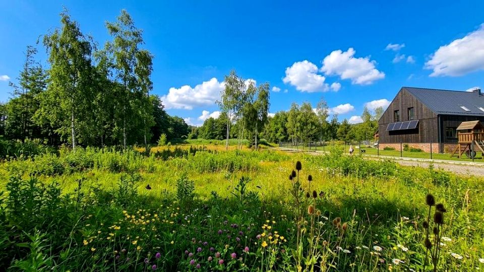 Działka budowlana Słupice