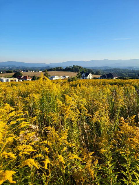 Działka budowlana Dziwiszów