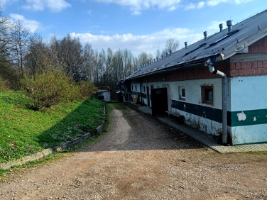 Lokal Radziszów