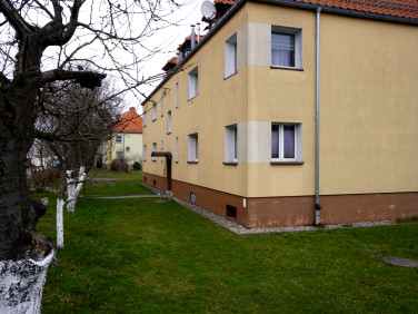 Mieszkanie Jelenia Góra