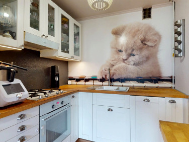 Mieszkanie Wodzisław Śląski