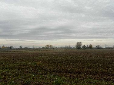 Działka budowlana Przybyszewo