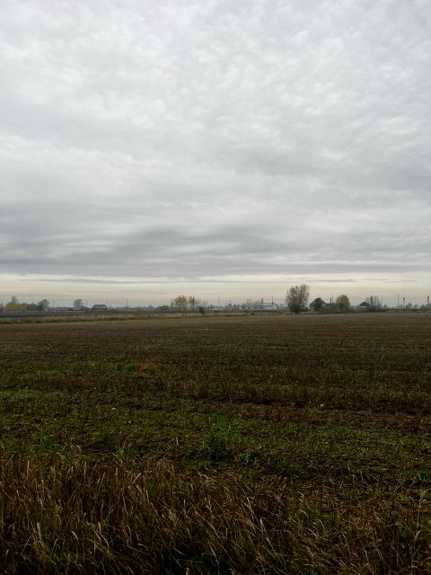 Działka budowlana Przybyszewo