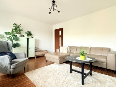 Mieszkanie Oleśnica