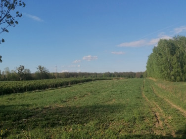 Działka budowlano-rolna Zaborze