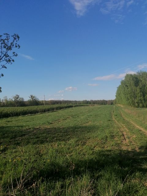 Działka budowlano-rolna Zaborze