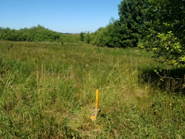 Działka budowlana Jesionowo