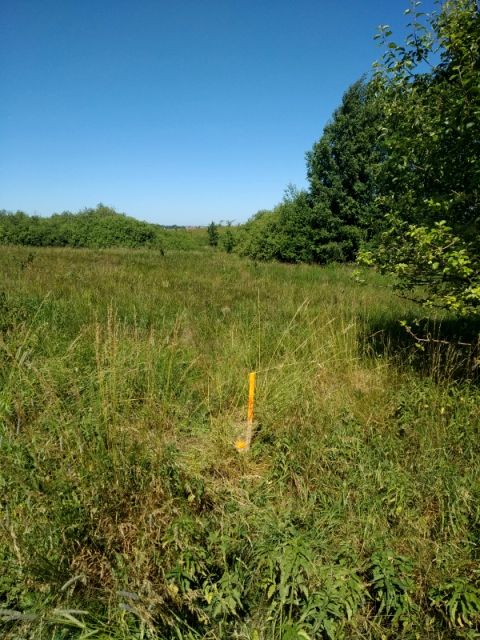 Działka budowlana Jesionowo