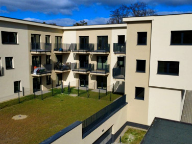 Mieszkanie przy lesie