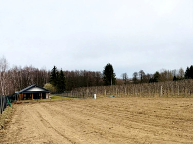 Działka inna Pękoszew