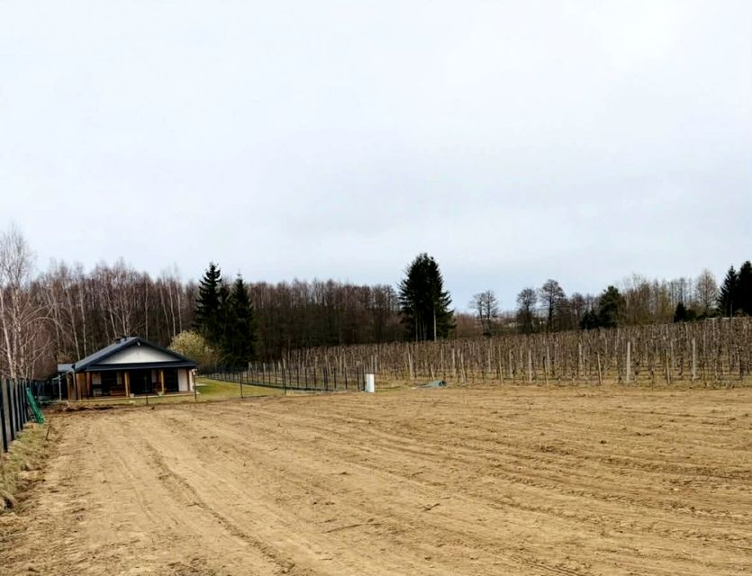 Działka inna Pękoszew