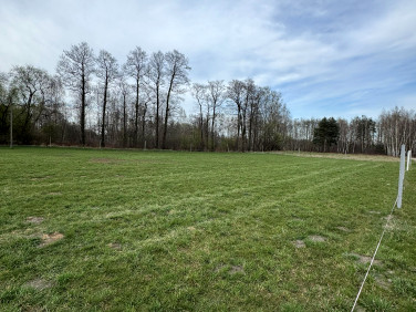 Działka budowlana Sade Budy