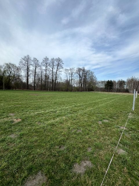 Działka budowlana Sade Budy