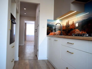 Mieszkanie przy lesie