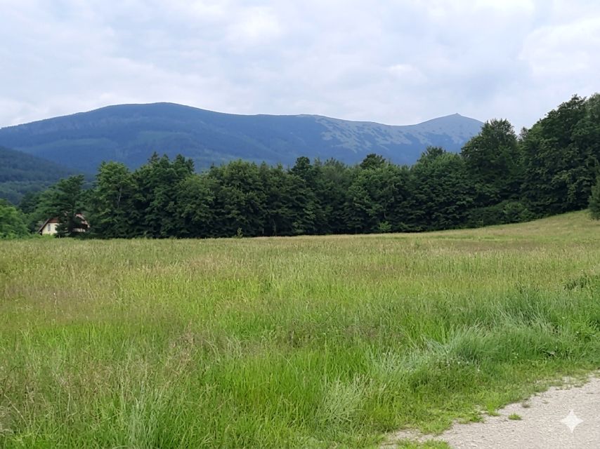 Działka budowlana Ściegny