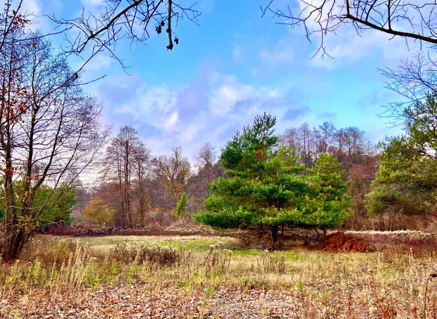 Działka budowlana Lipowo