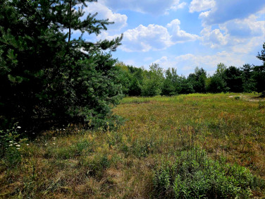 Działka inna Stare Budy