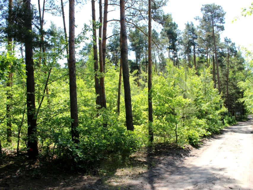 Działka budowlana Józefów