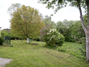 Działka budowlana Wodzisław Śląski