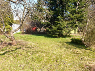 Działka rekreacyjna Łódź