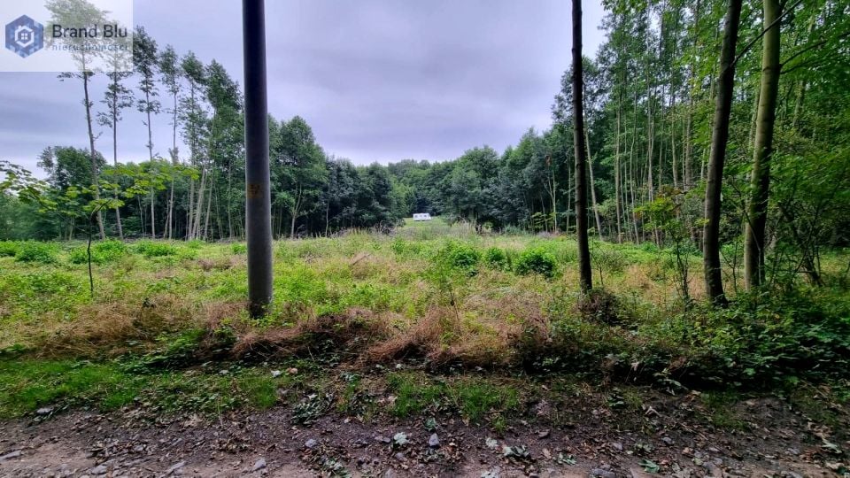 Zdjęcie 3