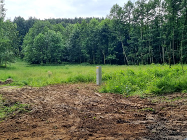 Działka budowlana Lutomia Górna