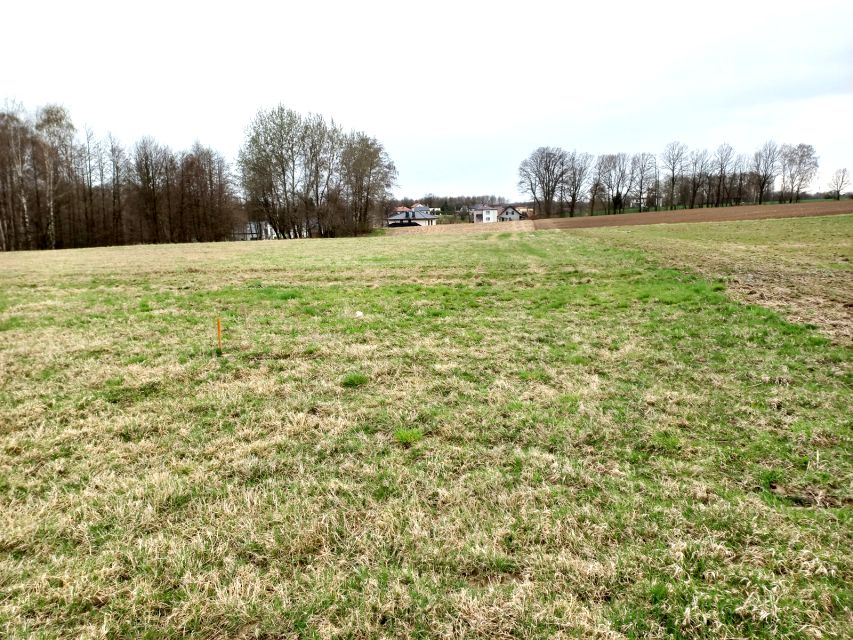 Działka Studzionka