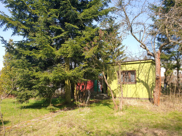 Działka rekreacyjna Łódź