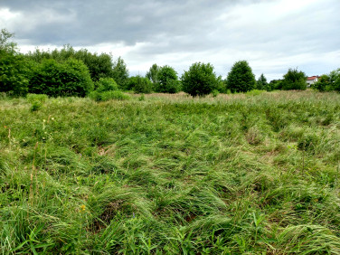 Pusta działka Rybnik