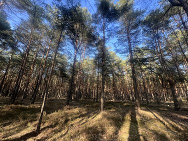 Działka budowlana Józefów