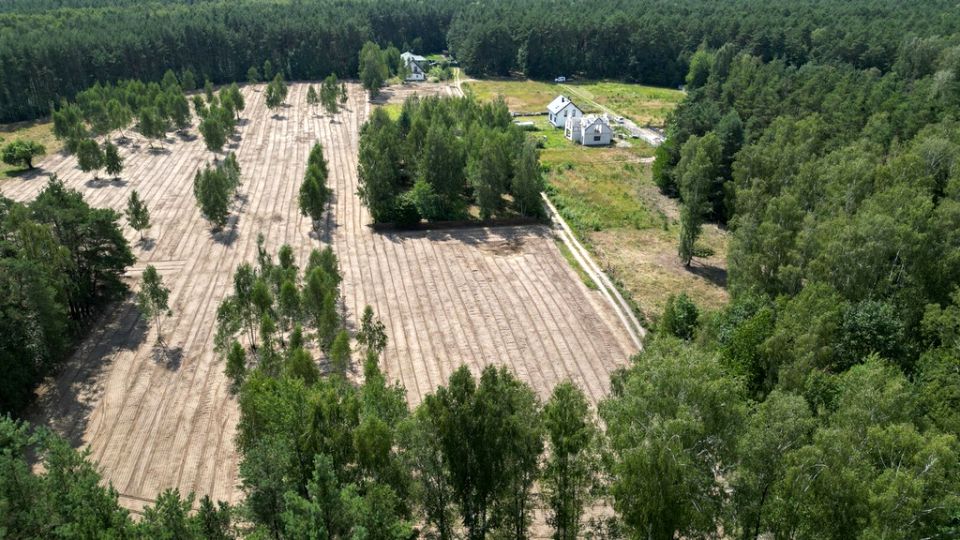 Działka inna Księżak