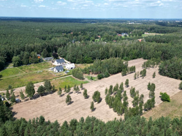 Działka leśna Księżak