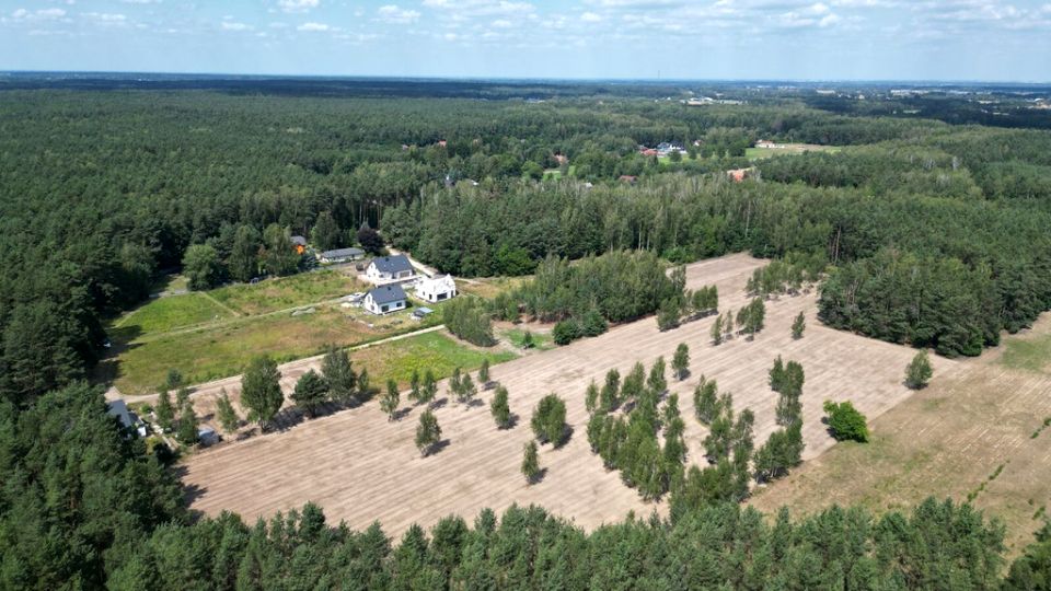 Działka leśna Księżak