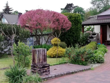 Mieszkanie dom wolnostojący Otwock